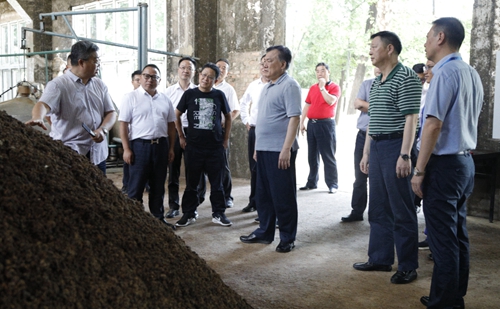 袁衛(wèi)東、王大真到金沙酒業(yè)調(diào)研指導工作(圖2)