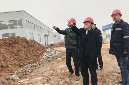 王大真到新材料公司、TPO項目現(xiàn)場和股份公司檢查工作(圖2)