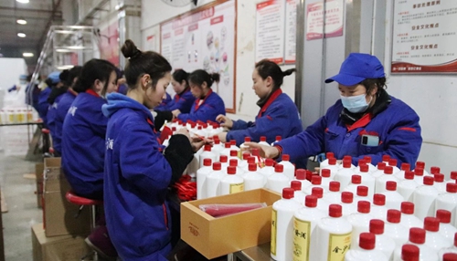 金沙酒業(yè):新年生產(chǎn)忙 搶抓“開(kāi)門紅”(圖1) 金沙酒業(yè):新年生產(chǎn)忙 搶抓“開(kāi)門紅”(圖1)