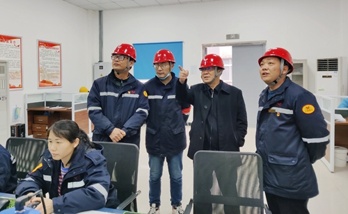 王大真到松滋肥業(yè)、楚星公司現(xiàn)場檢查指導工作(圖1)