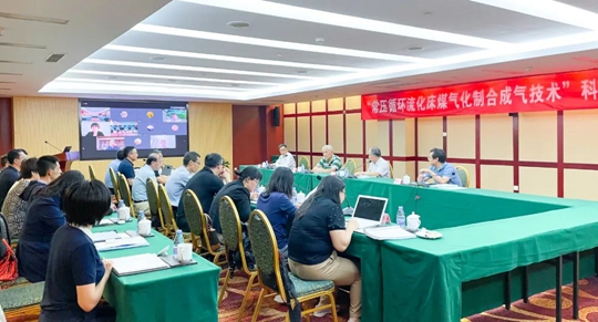 通過鑒定！新疆宜化一項技術達國際領先水平！(圖1)