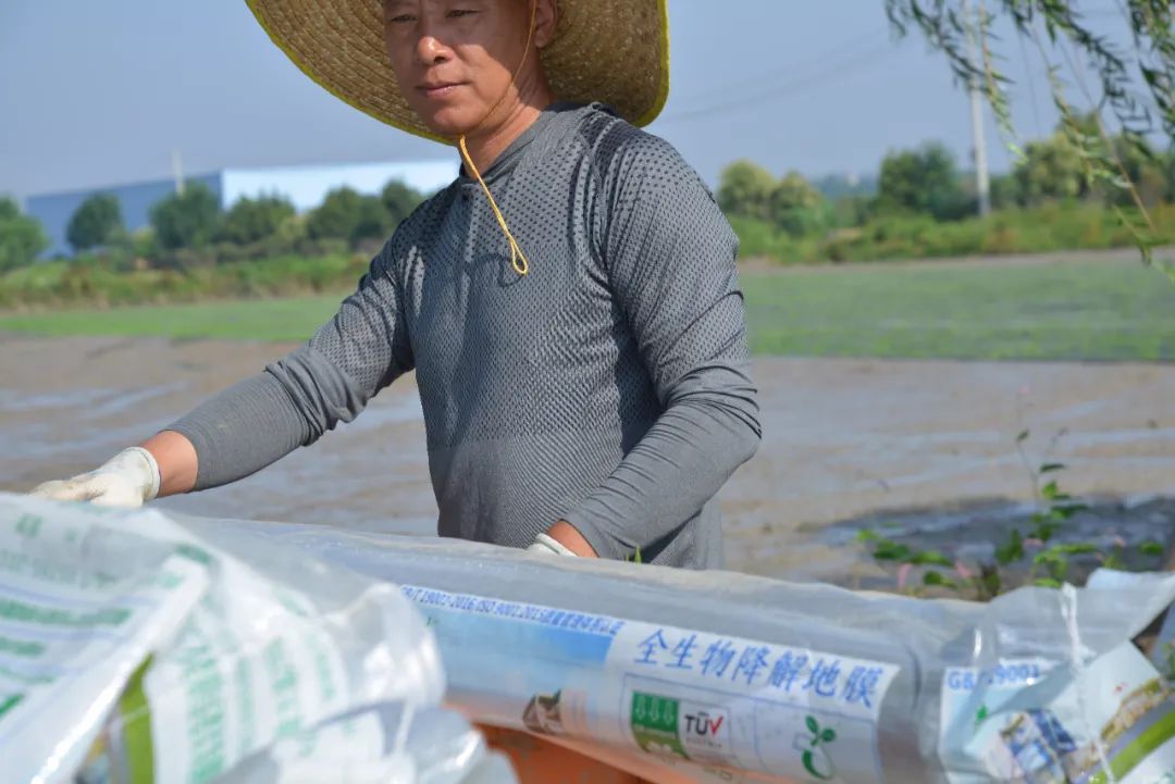 宜化全生物降解材料在河南推廣運用(圖2) 圖片