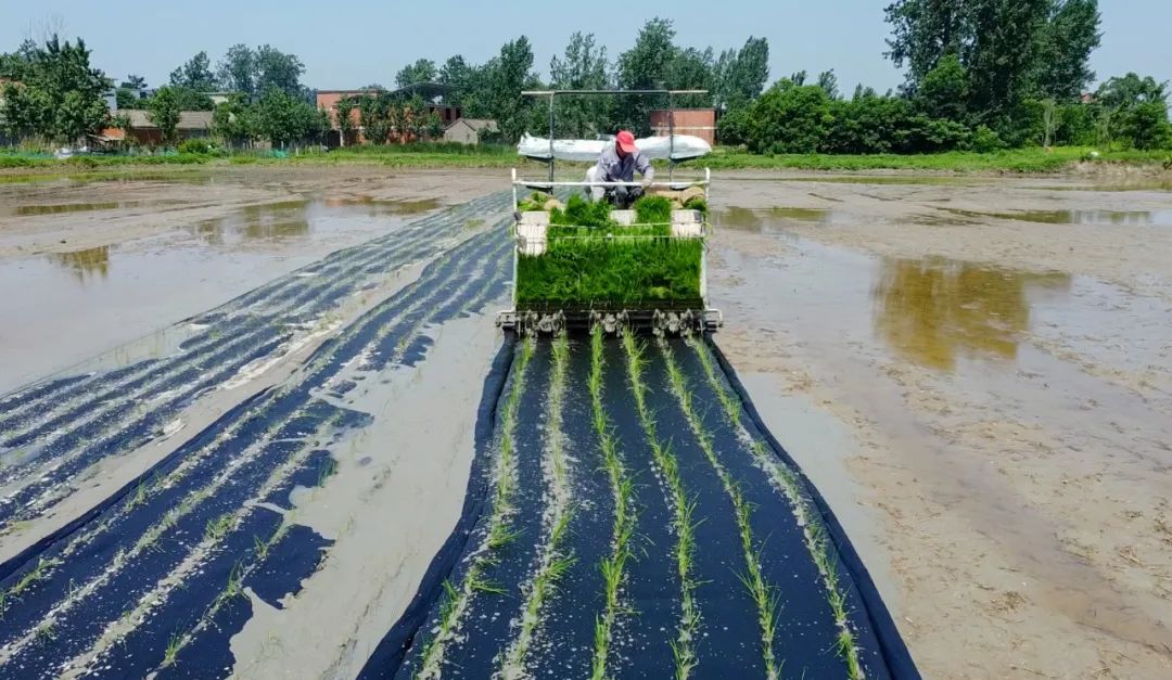 宜化全生物降解材料在河南推廣運用(圖3) 圖片