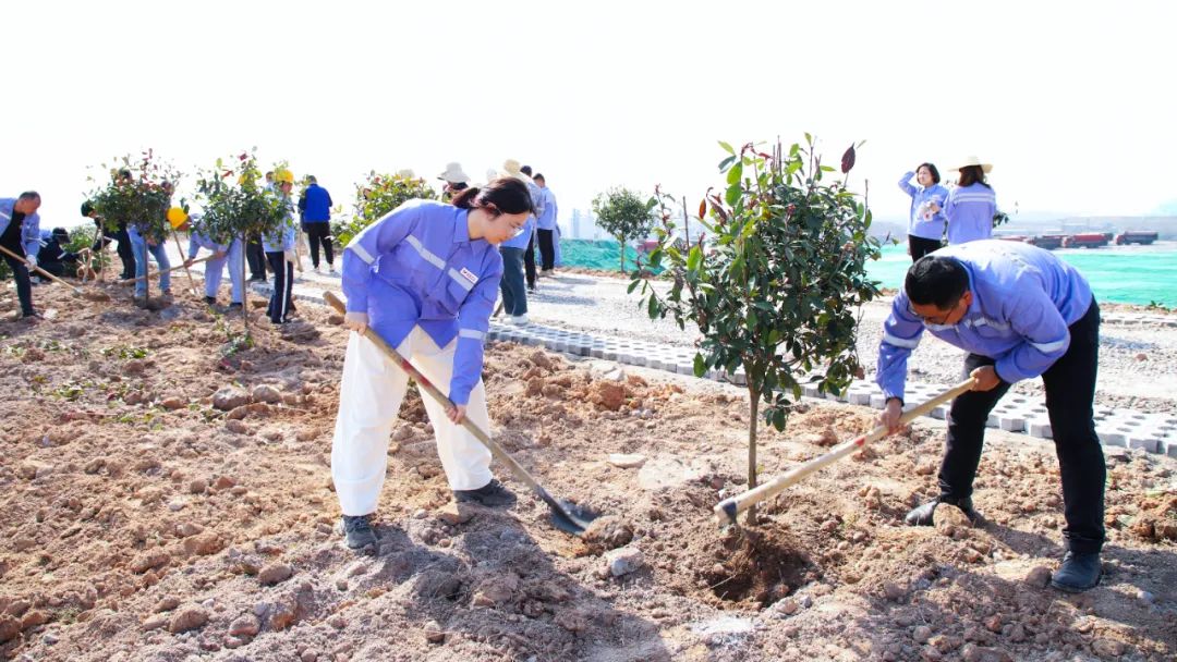 “植”此青綠共“樹(shù)”未來(lái)！集團(tuán)各公司開(kāi)展植樹(shù)活動(dòng)(圖16)