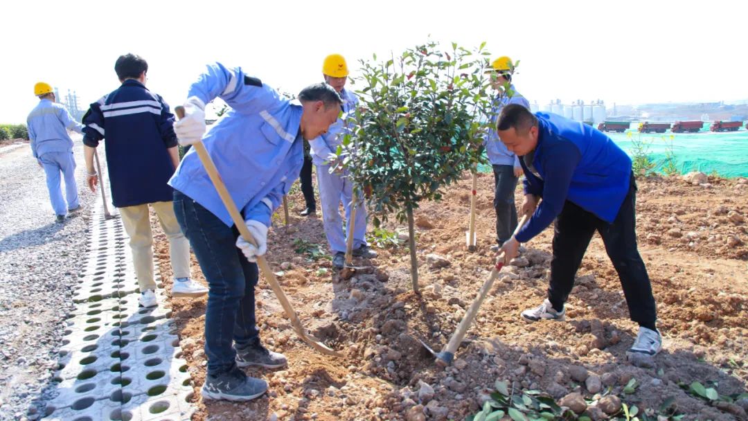 “植”此青綠共“樹(shù)”未來(lái)！集團(tuán)各公司開(kāi)展植樹(shù)活動(dòng)(圖14)