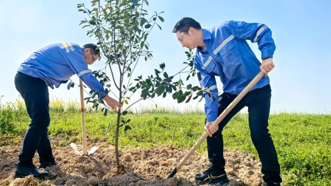 “植”此青綠共“樹(shù)”未來(lái)！集團(tuán)各公司開(kāi)展植樹(shù)活動(dòng)(圖15)
