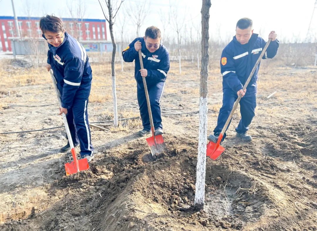 “植”此青綠共“樹(shù)”未來(lái)！集團(tuán)各公司開(kāi)展植樹(shù)活動(dòng)(圖20)