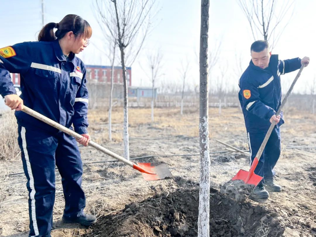 “植”此青綠共“樹(shù)”未來(lái)！集團(tuán)各公司開(kāi)展植樹(shù)活動(dòng)(圖21)