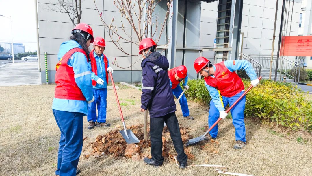 “植”此青綠共“樹(shù)”未來(lái)！集團(tuán)各公司開(kāi)展植樹(shù)活動(dòng)(圖25)