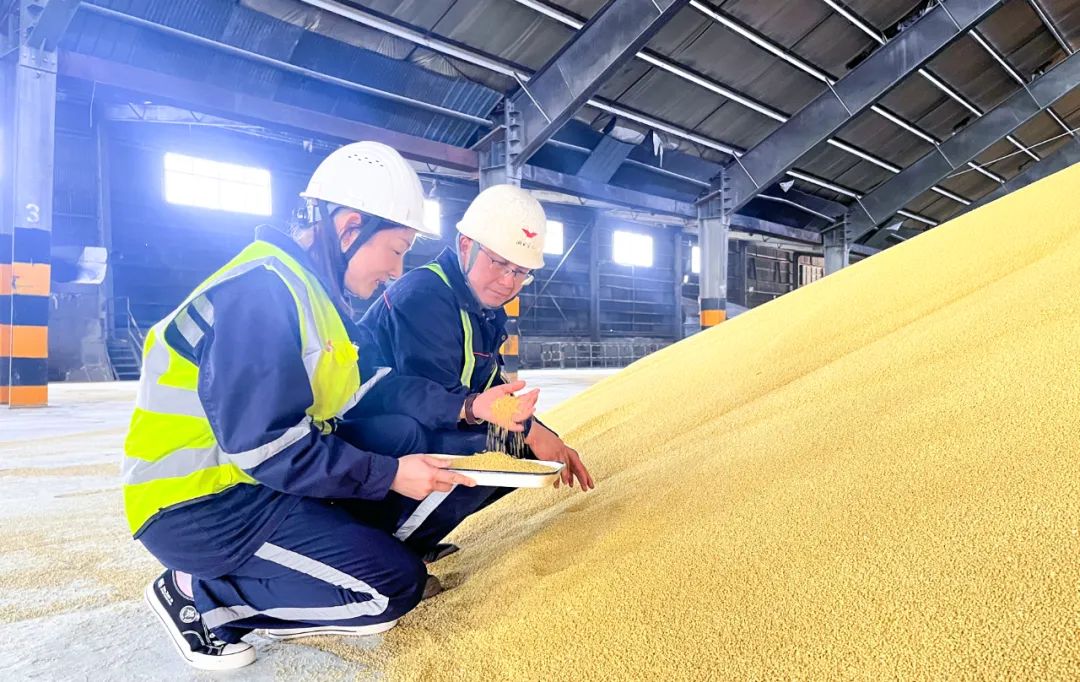 股份公司：精準(zhǔn)施策促提升，全力奪取“開(kāi)門(mén)紅”(圖4)