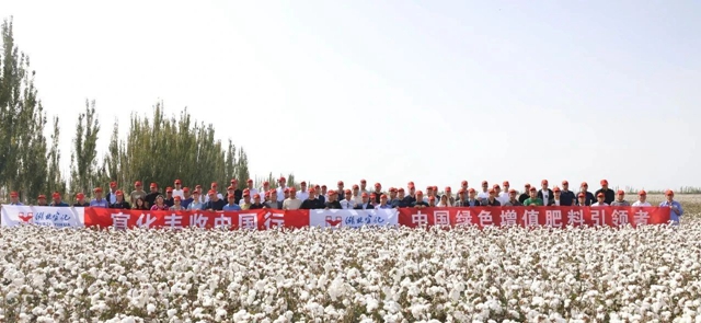 宜化豐收中國行！新疆棉花大型測產(chǎn)觀摩會成功舉行
