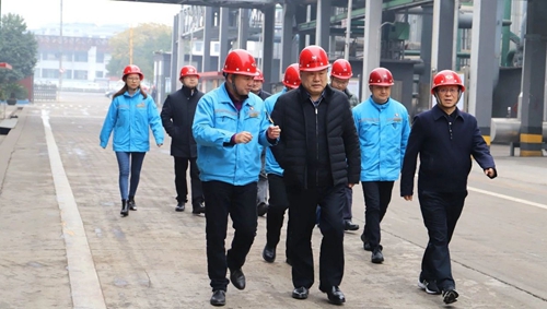袁衛(wèi)東到股份、楚星和新項(xiàng)目現(xiàn)場(chǎng)調(diào)研