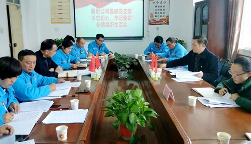 向宇飛列席指導(dǎo)股份公司氯堿黨支部“不忘初心、牢記使命”專題組織生活會