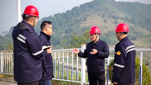 王大真到松滋肥業(yè)、楚星公司、新材料公司和股份公司現場調研