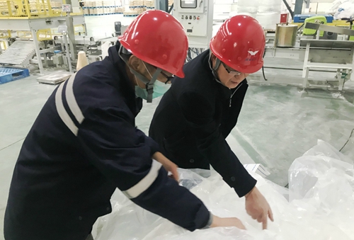 王大真到新材料公司、TPO項(xiàng)目現(xiàn)場和股份公司檢查工作