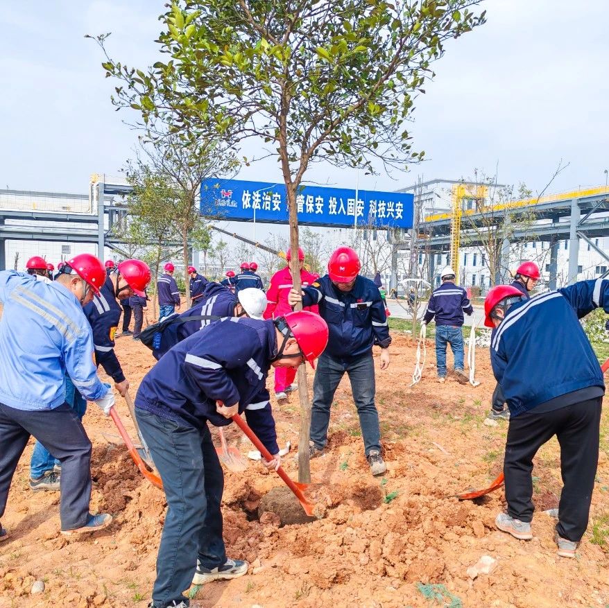 “植”此青綠共“樹”未來！集團(tuán)各公司開展植樹活動(dòng)